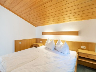 Apartment Chalet in Mittersill near Ski Slopes - Features photo 17