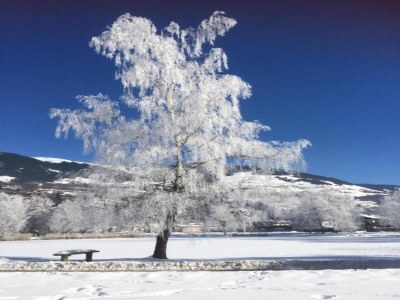 Apartment Chalet in Mittersill near Ski Slopes - Environment photo 25
