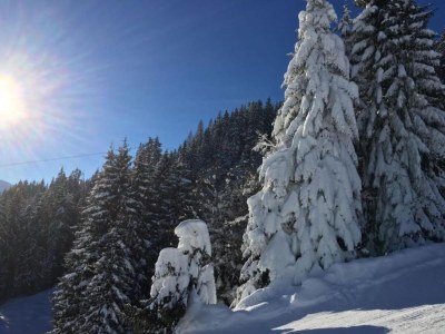 Apartment Chalet in Mittersill near Ski Slopes - Environment photo 32
