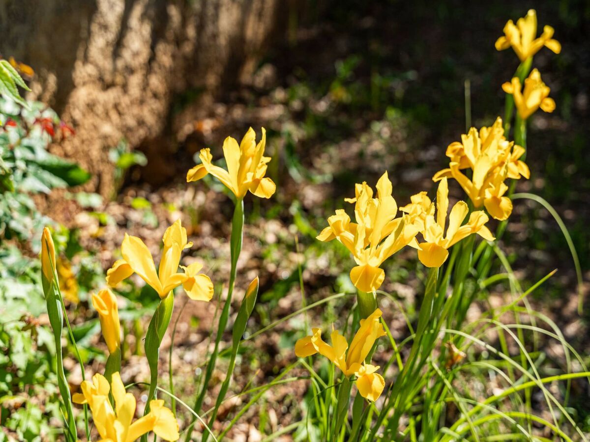 Apartment Apartment Kos - Two Bedroom Apartment with Terrace - Outdoor photo 2