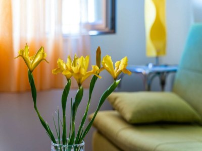 Apartment Apartment Kos - Two Bedroom Apartment with Terrace - Features photo 14