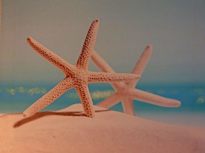 Holiday house Ferienhäuser am Teich, Zinnowitz - Outdoor photo 29