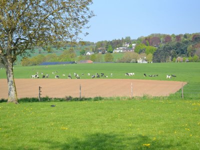 Farmhouse Holiday home in South Limburg with a terrace - Environment photo 29