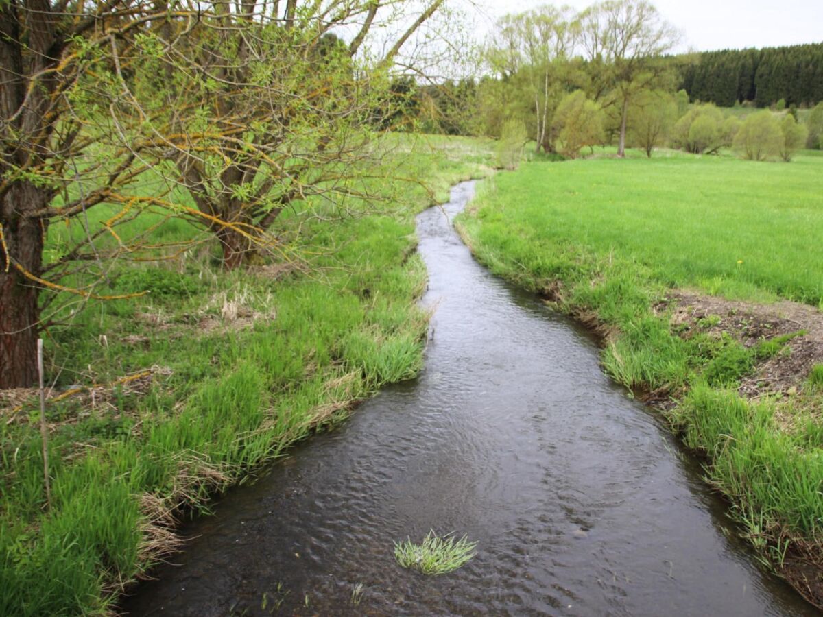 Apartment Ferienwohnung Hexenzauber I in Braunlage - Outdoor photo 3