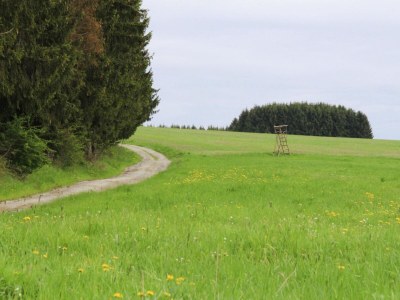 Apartment Ferienwohnung Hexenzauber I in Braunlage - Outdoor photo 6