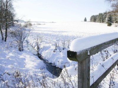 Apartment Ferienwohnung Hexenzauber I in Braunlage - Outdoor photo 42