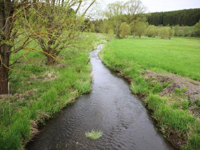 Apartment Ferienwohnung Hexenzauber I in Braunlage - Environment photo 38