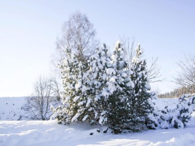 Apartment Ferienwohnung Hexenzauber I in Braunlage - Environment photo 40