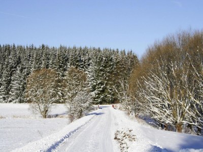 Apartment Ferienwohnung Hexenzauber I in Braunlage - Environment photo 41