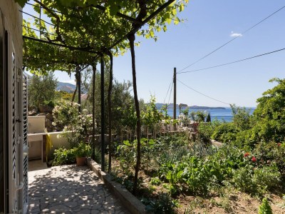 Apartment Apartments Olive - One Bedroom Apartment with Terrace and Partial Sea View - Popolica 50 - Outdoor photo 14
