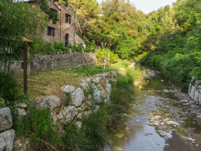 Holiday apartment Ehemalige Wassermühle Le Ferriere - Outdoor photo 5