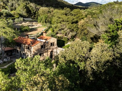 Holiday apartment Ehemalige Wassermühle Le Ferriere - Outdoor photo 7