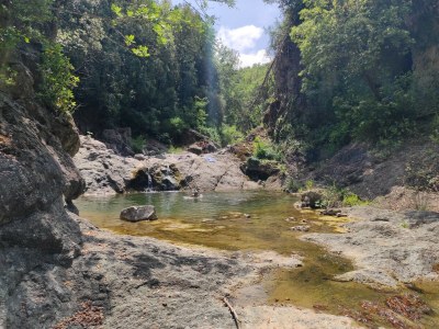 Holiday apartment Ehemalige Wassermühle Le Ferriere - Environment photo 32