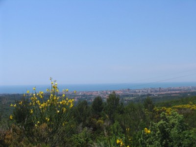Holiday apartment Ehemalige Wassermühle Le Ferriere - Environment photo 34