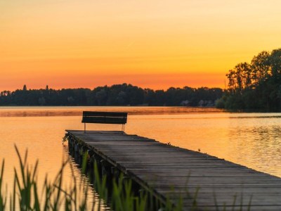 Holiday house Ferienhaus mit Pool und Sauna am Dümmer See - Outdoor photo 34