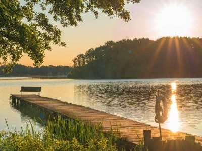 Holiday house Ferienhaus mit Pool und Sauna am Dümmer See - Outdoor photo 36