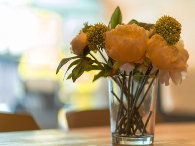 Holiday house Ferienhaus mit Pool und Sauna am Dümmer See - Outdoor photo 37