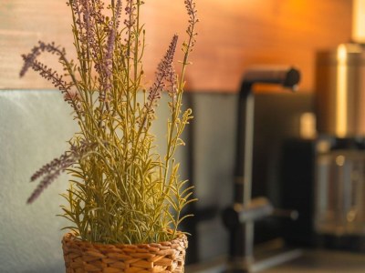 Holiday house Ferienhaus mit Pool und Sauna am Dümmer See - Outdoor photo 38