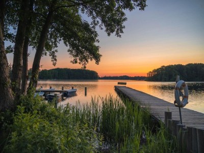 Holiday house Ferienhaus mit Pool und Sauna am Dümmer See - Outdoor photo 49