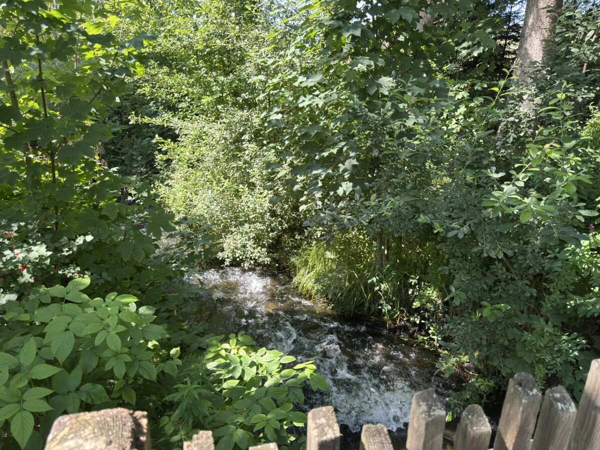 Holiday house Gruppenhaus in Buntenbock - Outdoor photo 4