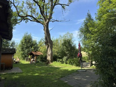 Holiday house Gruppenhaus in Buntenbock - Outdoor photo 3