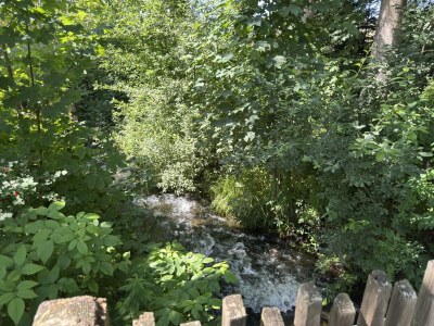 Holiday house Gruppenhaus in Buntenbock - Outdoor photo 4