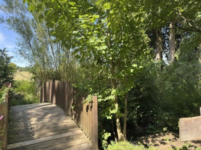 Holiday house Gruppenhaus in Buntenbock - Outdoor photo 7