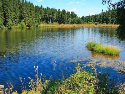 Holiday house Gruppenhaus in Buntenbock - Outdoor photo 47