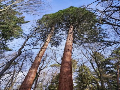Holiday house Ferienhaus Birgit, Wendorf - Environment photo 32