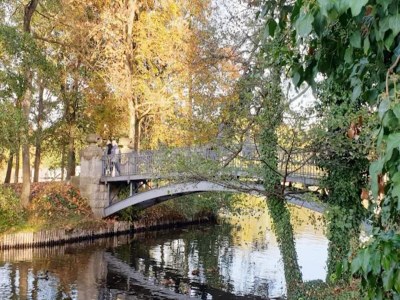 Apartment Ferienwohnungen am Mirower See, Mirow - Environment photo 17