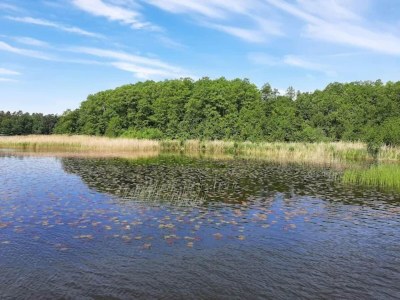 Apartment Ferienwohnungen am Mirower See, Mirow - Environment photo 21