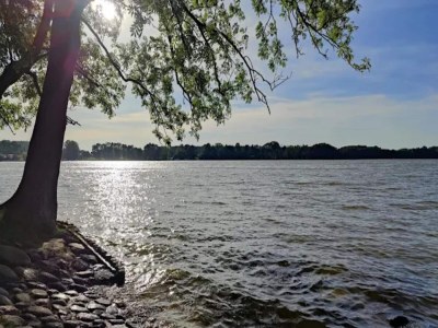 Apartment Ferienwohnungen am Mirower See, Mirow - Environment photo 23