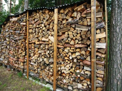 Holiday house Ferienhaus in der Feldberger Seenlandschaft - Environment photo 12