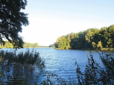 Holiday house Ferienhaus, Parmen bei Feldberg - Environment photo 13