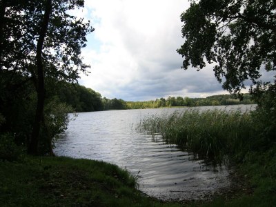 Holiday house Ferienhaus, Parmen bei Feldberg - Environment photo 15