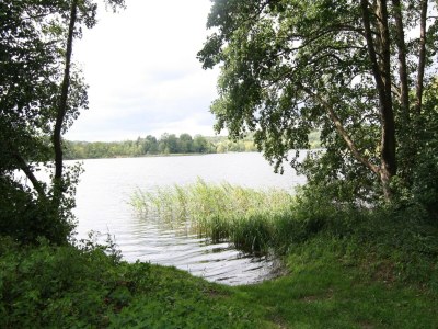 Holiday house Ferienhaus, Parmen bei Feldberg - Environment photo 17
