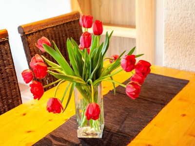 Apartment Wohnung in Montafon nahe Skiliften - Outdoor photo 40