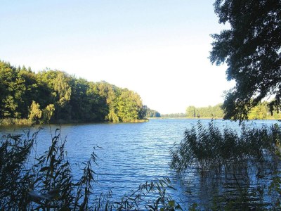 Apartment Ferienwohnung, Parmen bei Feldberg - Environment photo 13