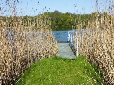 Holiday house Ferienhaus Seeblick, Zemitz - Outdoor photo 7