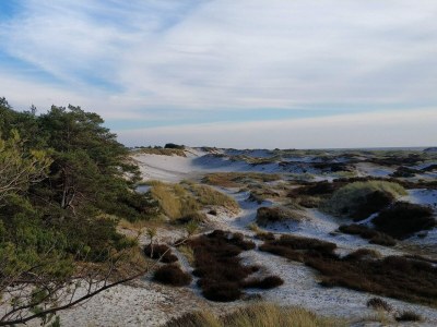 Holiday house Modernes Cottage am Strand -- By Traum Ferienwohnungen - Outdoor photo 8