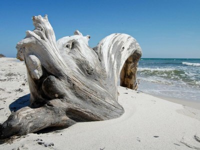 Holiday house Modernes Cottage am Strand -- By Traum Ferienwohnungen - Outdoor photo 9