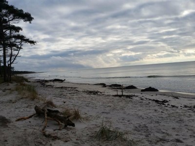 Holiday house Modernes Cottage am Strand -- By Traum Ferienwohnungen - Outdoor photo 13