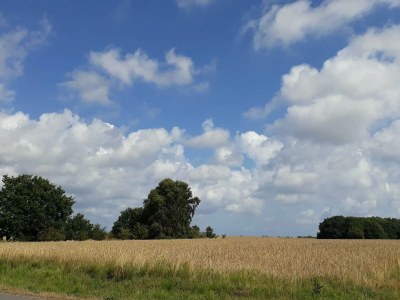 Holiday house Modernes Cottage am Strand -- By Traum Ferienwohnungen - Outdoor photo 19