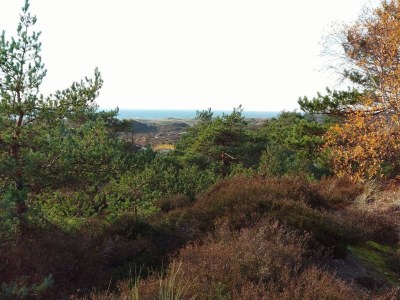 Holiday house Modernes Cottage am Strand -- By Traum Ferienwohnungen - Outdoor photo 26