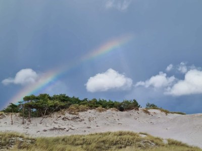 Holiday house Modernes Cottage am Strand -- By Traum Ferienwohnungen - Outdoor photo 27