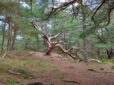 Holiday house Modernes Cottage am Strand -- By Traum Ferienwohnungen - Outdoor photo 28