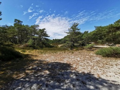 Holiday house Modernes Cottage am Strand -- By Traum Ferienwohnungen - Outdoor photo 34