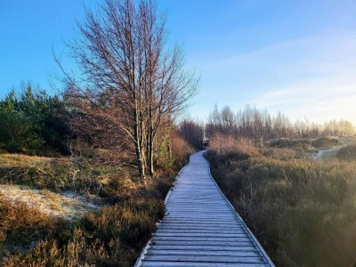 Holiday house Modernes Cottage am Strand -- By Traum Ferienwohnungen - Outdoor photo 35