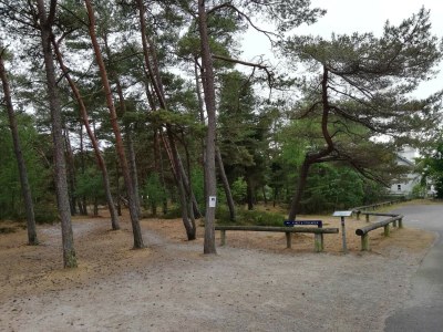 Holiday house Modernes Cottage am Strand -- By Traum Ferienwohnungen - Outdoor photo 40