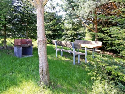 Apartment Ferienwohnung Alte Schmiede, Zemitz - Environment photo 11